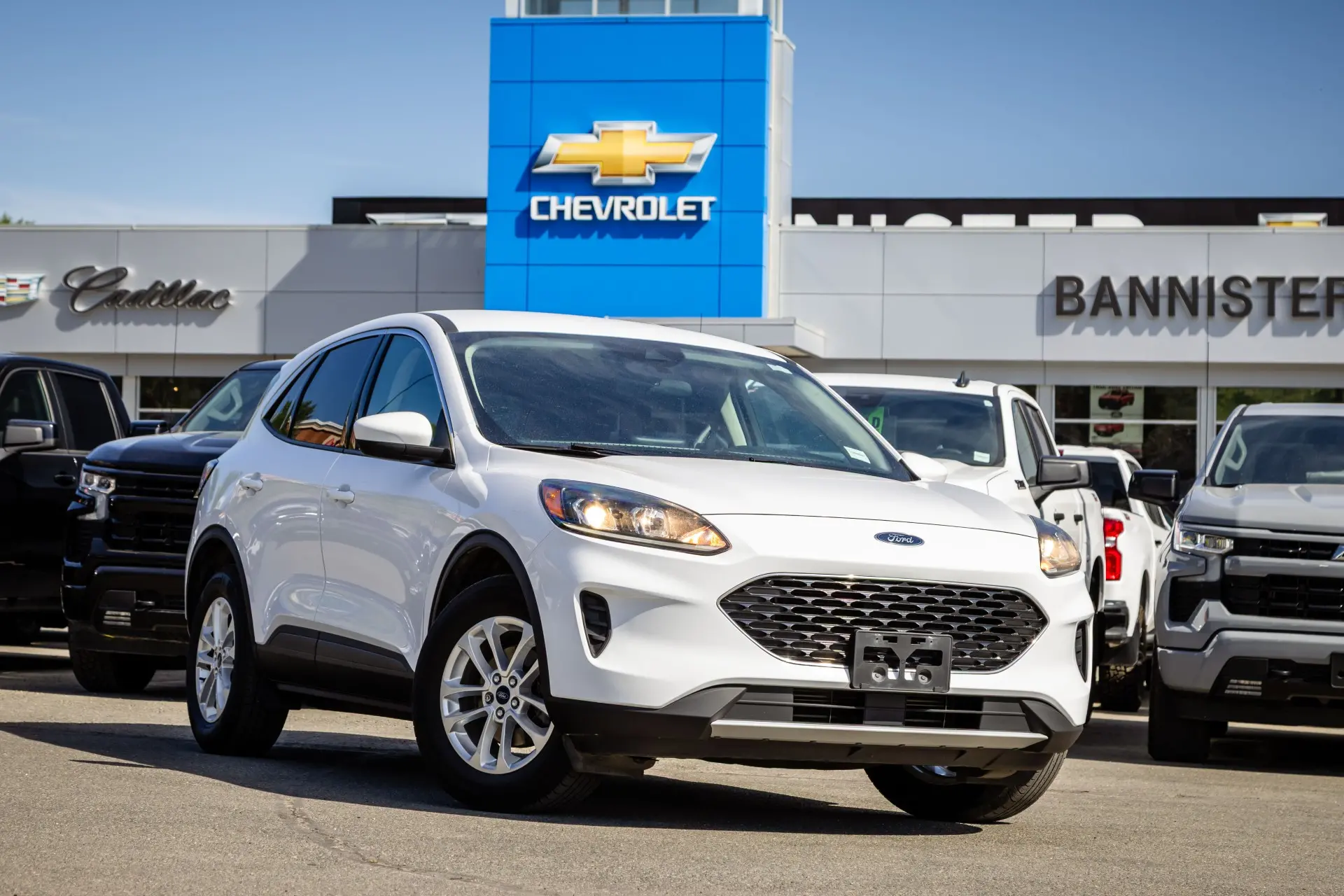 2020 Ford Escape SE — photo 1